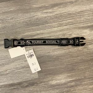 Hollister Social Tourist Dog Collar
